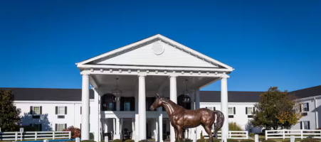 The Campbell House Lexington, Curio Collection